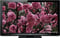 Panasonic 50" VIERA 1080P Plasma Flat Panel HDTV