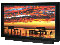 SunBriteTV 55" Black Pro Line All Weather Outdoor LCD HDTV