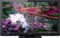 Panasonic 42" VIERA Plasma 3D Flat Panel HDTV