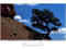 Panasonic 47" Smart VIERA WT60 Series LED TV