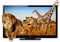 Panasonic 60" VIERA 1080P 3D Plasma Flat Panel HDTV