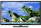 Panasonic 60" 1080P 3D Plasma HDTV - With Built In Web Browser