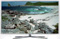 Samsung 55" Series 7 LED HDTV