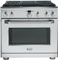 GE Monogram 36" Stainless Steel Dual-Fuel Professional Range