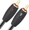 AudioQuest 9.8 Feet Alpha-Snake Audio InterConnect Cable