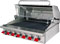 Wolf Stainless Steel Outdoor Built In Natural Gas Grill