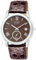 Citizen Eco-Drive Brown Dial Mens Watch