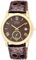 Citizen Eco-Drive Gold-Tone Mens Watch