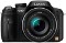 Panasonic Black 14.1 Megapixel Digital Camera