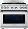 Electrolux Icon Stainless Steel Professional Series Free Standing Dual Fuel Range