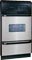 Frigidaire 24" Built-In Single Gas Oven