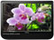 Haier Designer F-Series Black 22" LCD HDTV