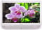 Haier Designer F-Series White 22" LCD HDTV