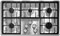 Jenn-Air 36" Stainless Steel Gas Cooktop