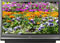 Sony 46" BRAVIA E Series 3LCD Rear Projection HDTV