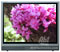 Sharp 20" LCD Television