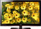 Samsung 46" Black Flat Panel Series 5 LCD HDTV