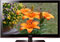 Samsung 52" Black Flat Panel Series 5 LCD HDTV