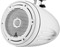 JL Audio Marine Enclosed Tower Coaxial Speaker System