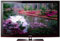 Samsung 50" Black Flat Panel Series 6 Plasma HDTV