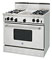 BlueStar 36" RNB Series Free Standing Stainless Steel Convection Gas Range