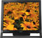 Sony 17" HS-Series Flat Panel LCD Display Computer Monitor - Black Finish