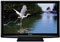 Panasonic 42" VIERA C1 Series Black Plasma Flat Panel HDTV