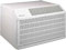Friedrich Wallmaster Thru-The-Wall Air Conditioner