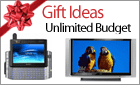 Gift Ideas Unlimited Budget