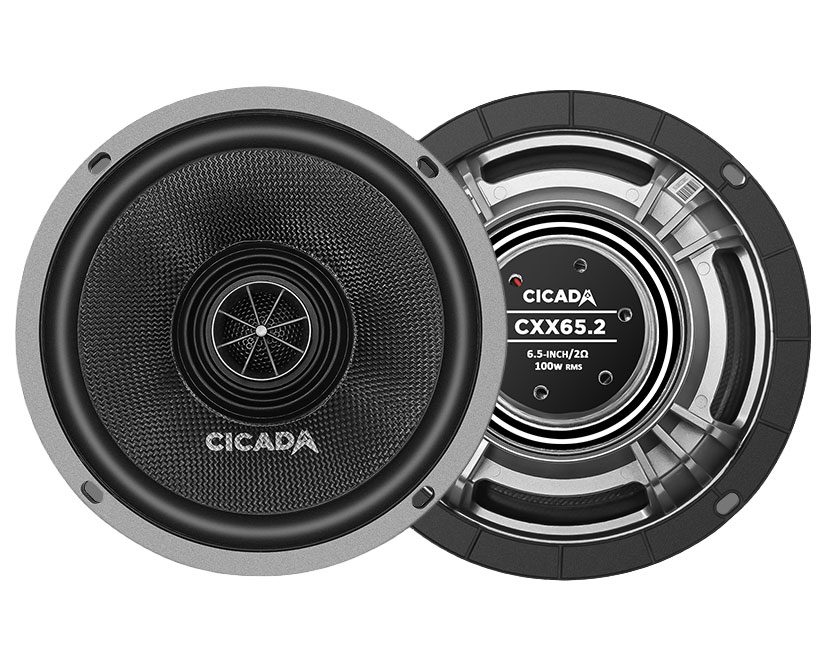 Cicada Audio - 24FLXCXX-4X2RG - Car, ATV, and Motorcycle Audio Kits