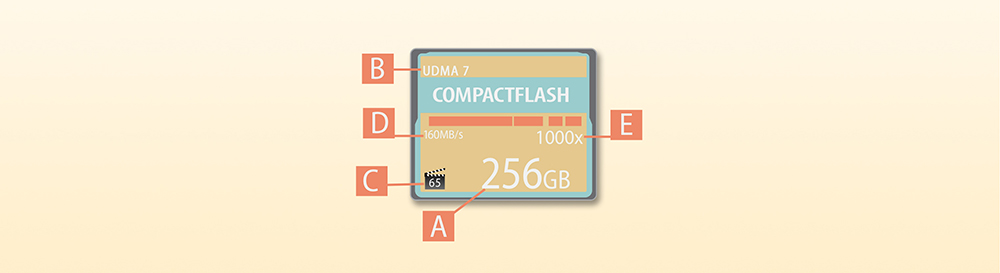 CompactFlash Cards