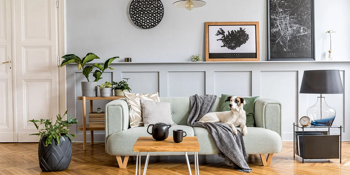 Picture of a dog sitting on the couch with other living room furniture.