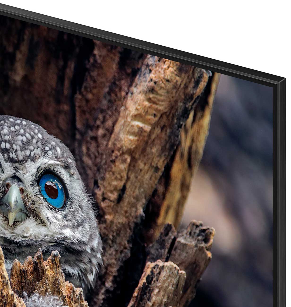 Close Up View Of The TV Bezel