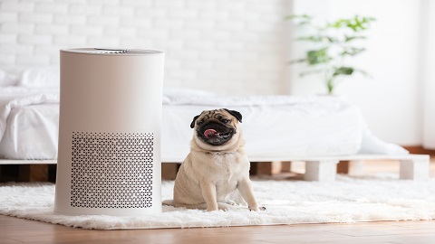 Honeywell 300 CFM White-Gray Evaporative Air Cooler - CS10XE