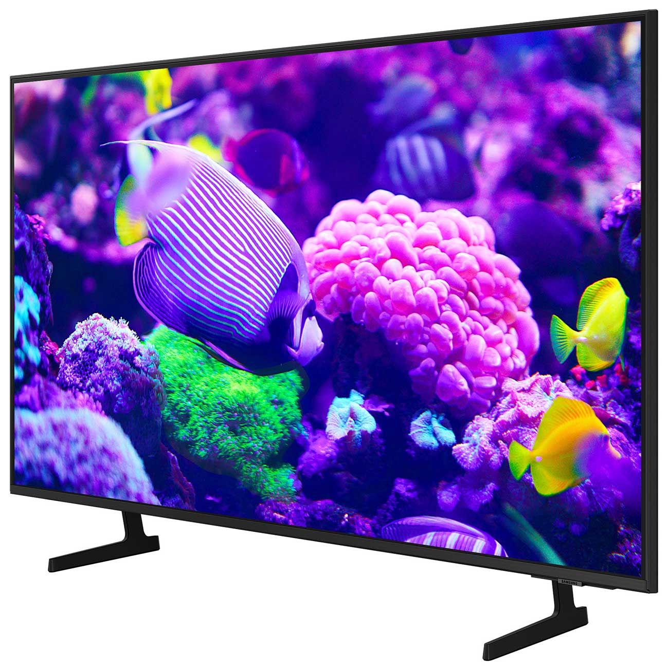 Dynamic Right View Of The TV