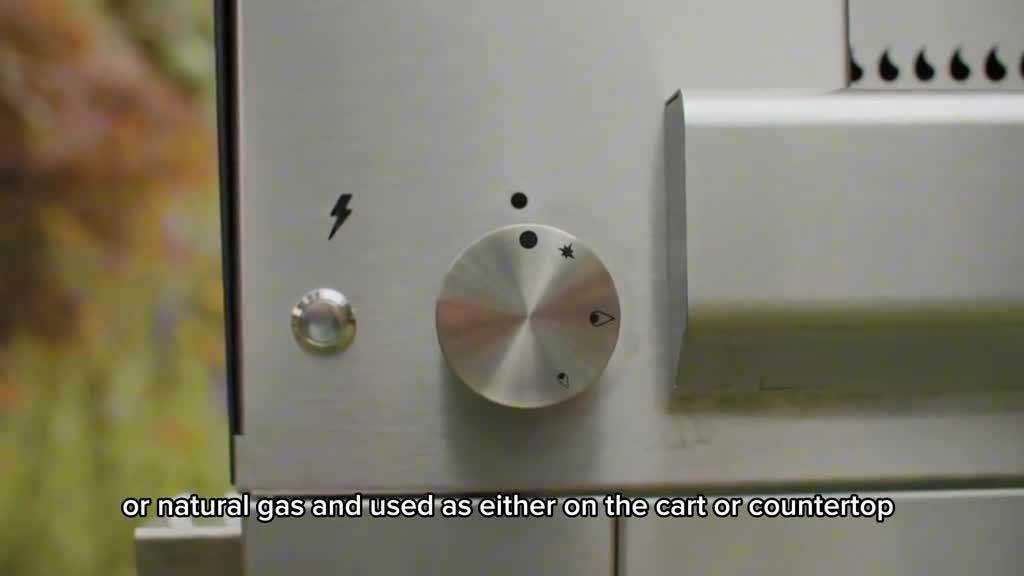 Optional Gas view of Fontana Pizza Oven