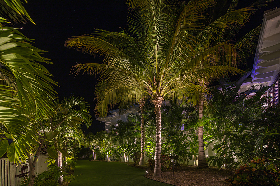 Coastal Source garden path lighting
