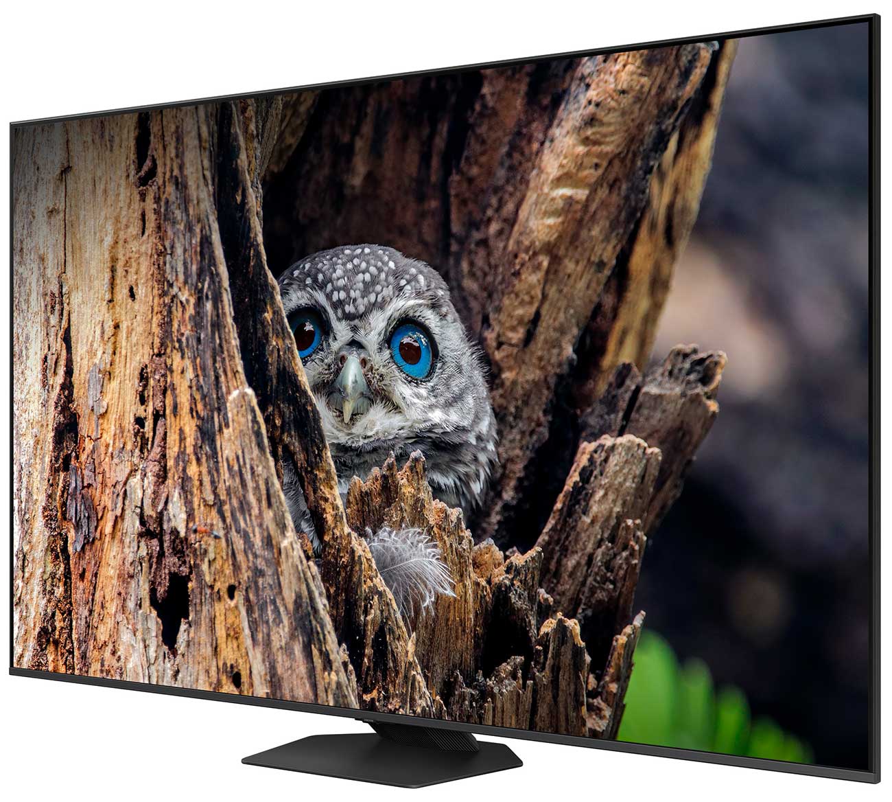 Dynamic Right View Of The TV