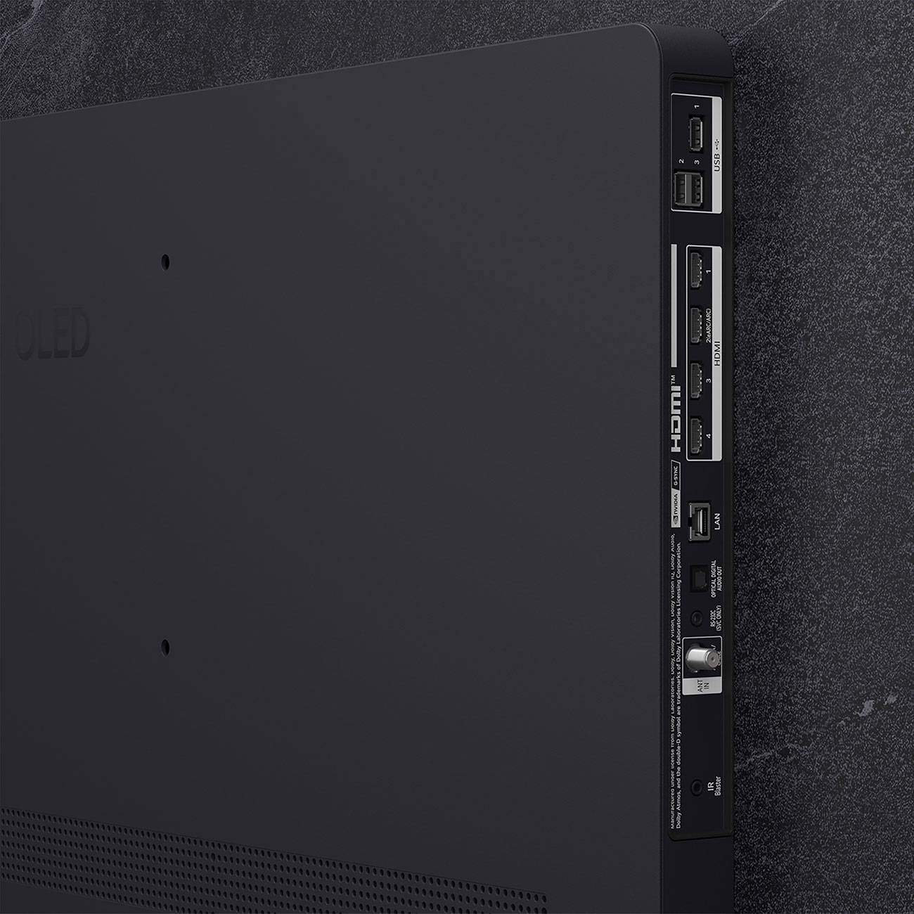 Rear View of LG OLED 4K Smart TV Ports 