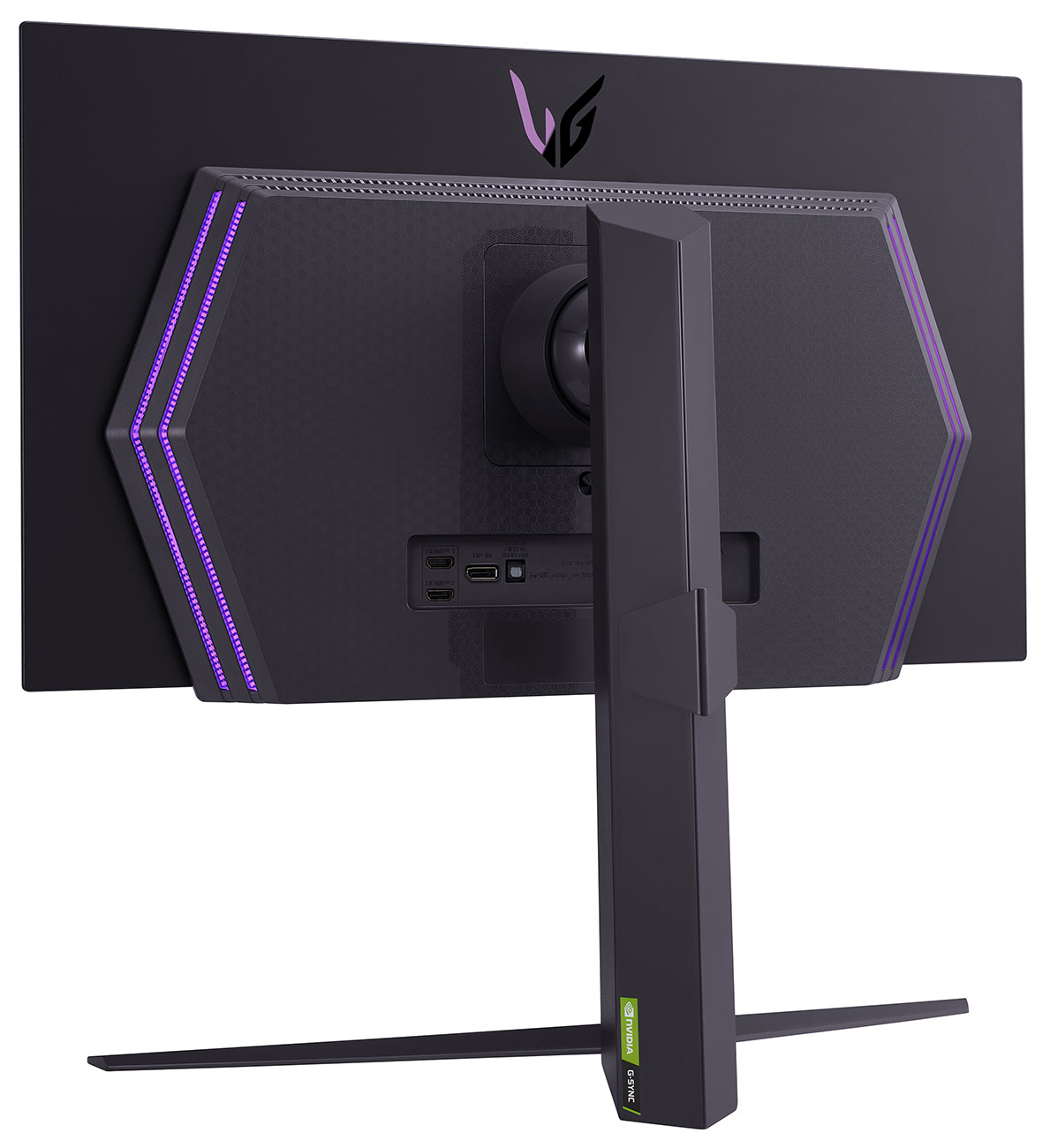 Back Left View of LG Monitor