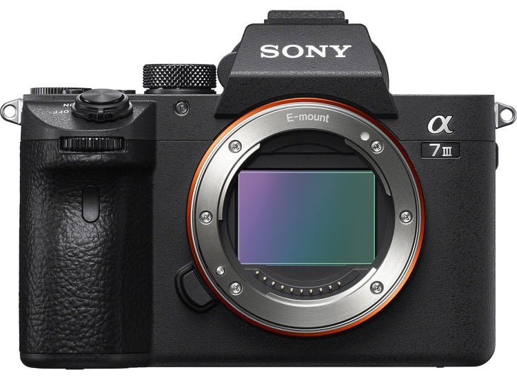 Sony A7iii Sony A7ii Beginners Guide Online Course: Sony Alpha A7