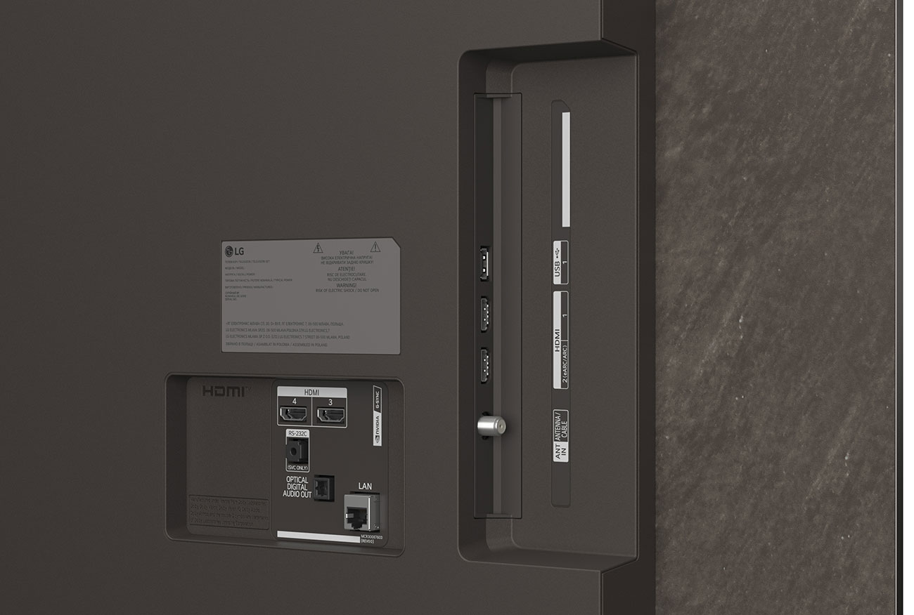 Rear View of LG OLED Ports 