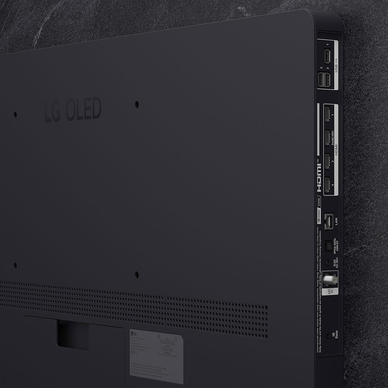 Rear View of LG OLED 4K Smart TV Ports 