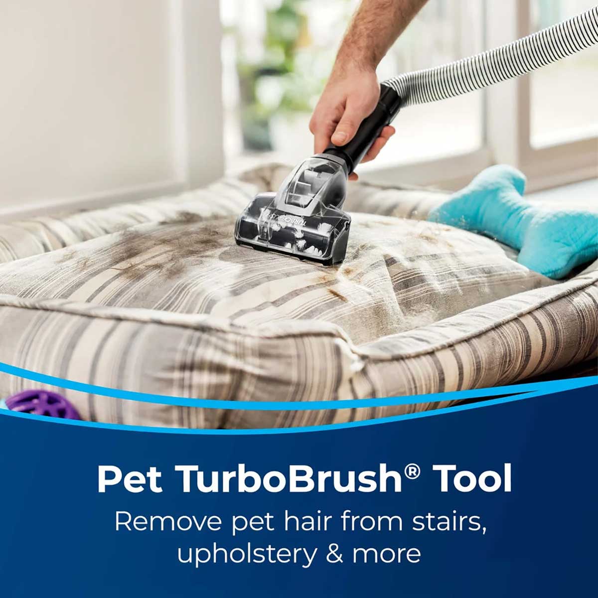 PetBrush Tool Detail of Upright Vacuum