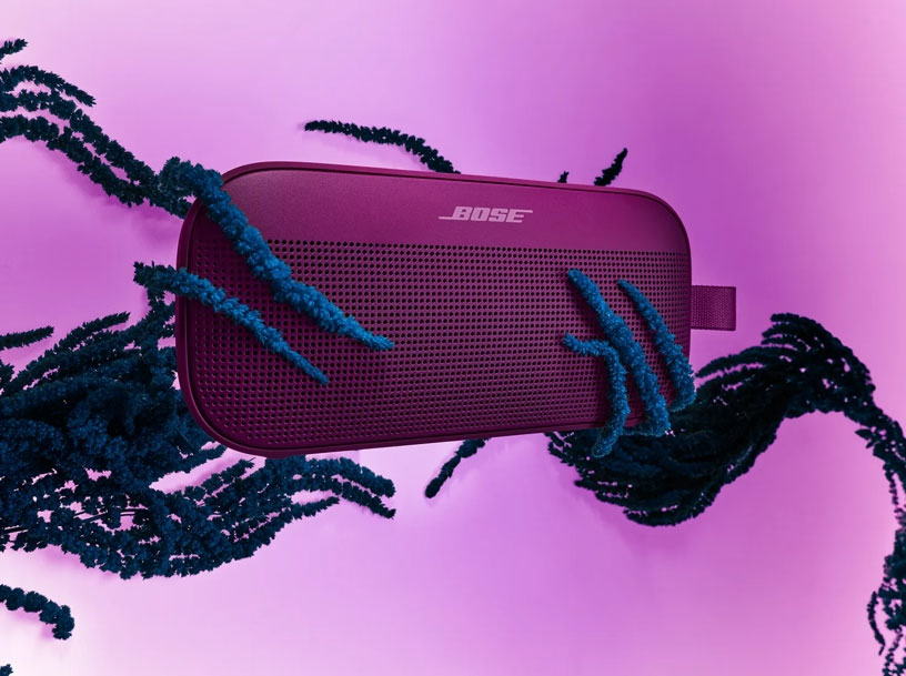 View of Bose Speaker with Vines Wrapped Around It