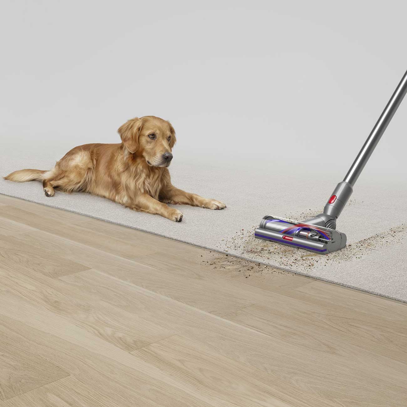 Lifestyle of Stick Vacuum Detail