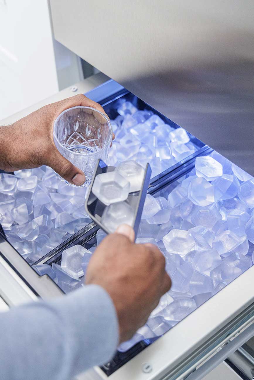 Ice View of Thermador Refrigerator