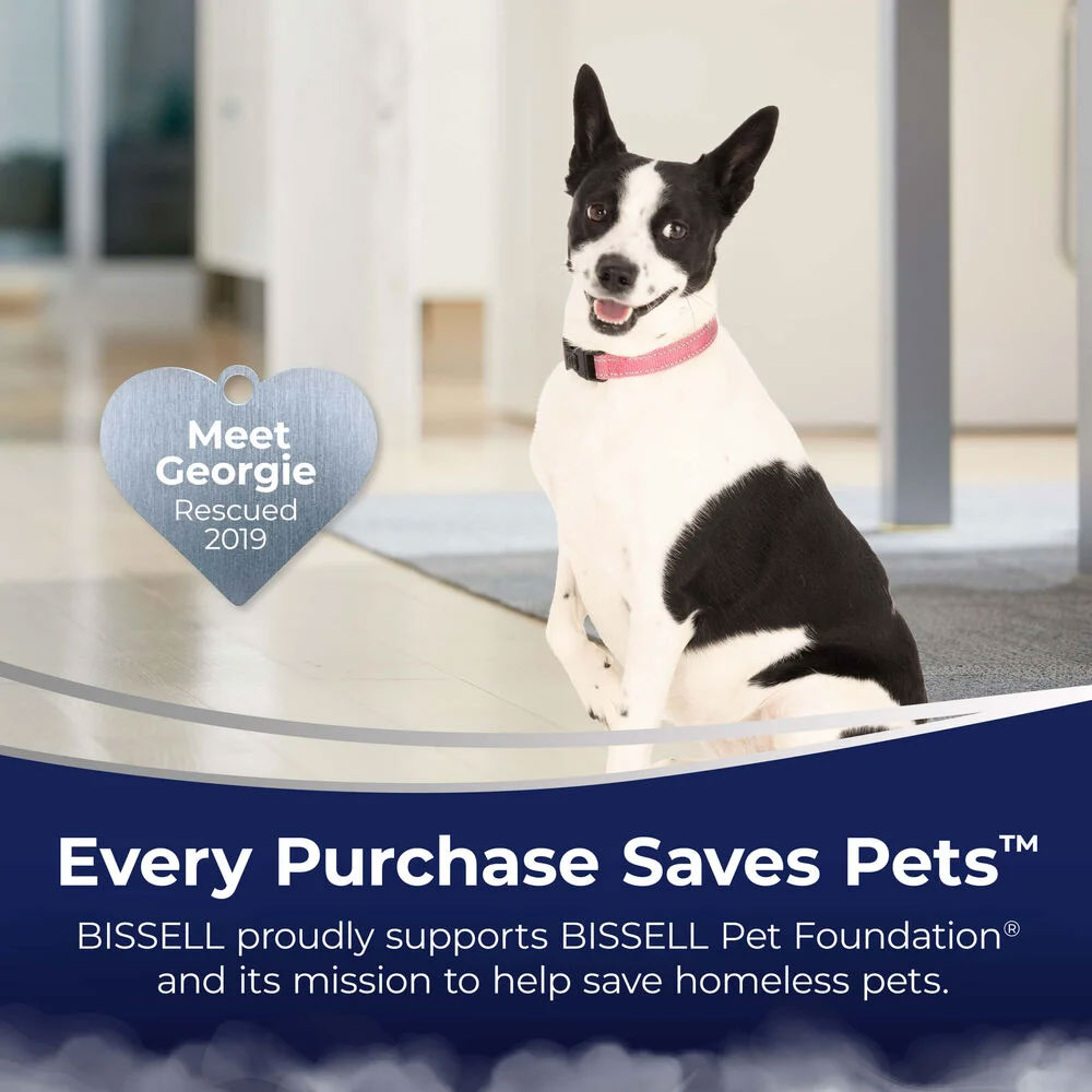 Informative View of Bissell Pet Foundation