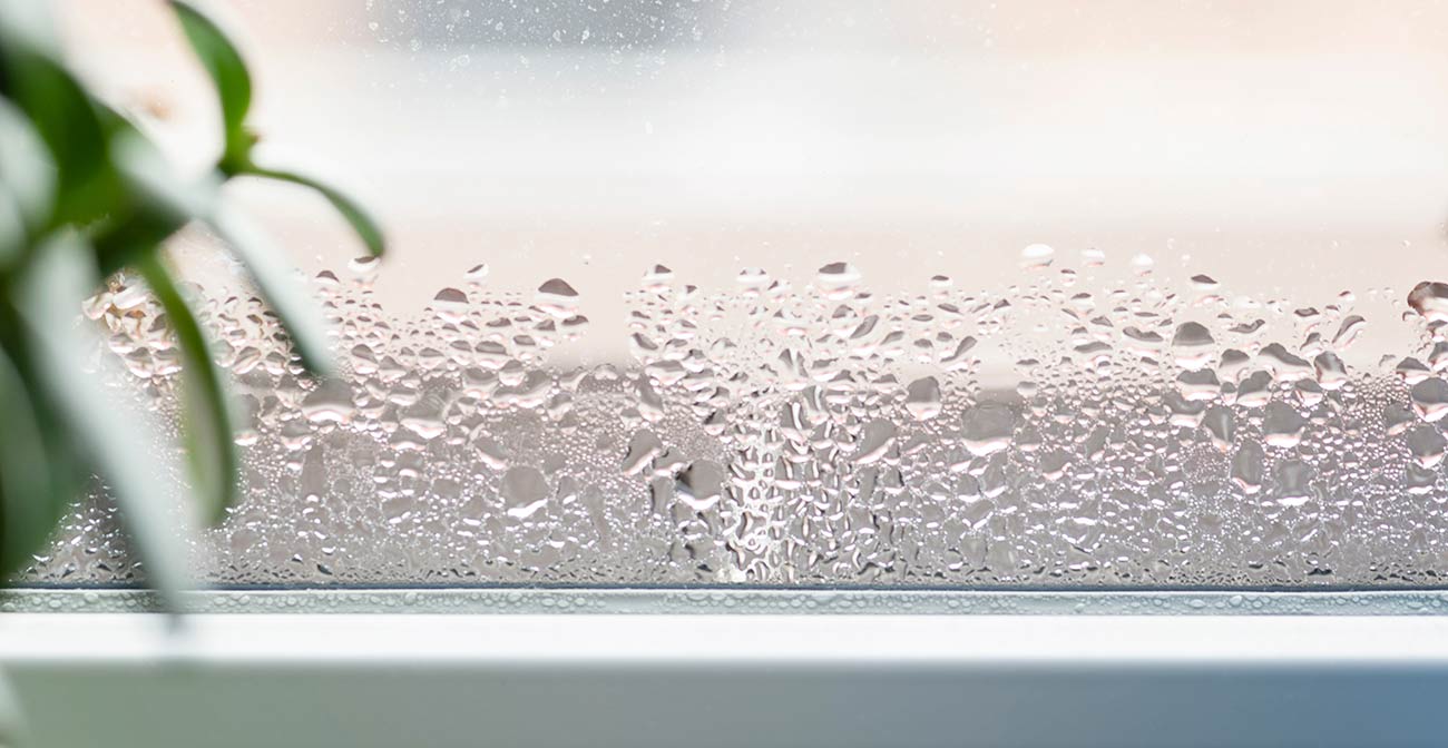 Condensation on window