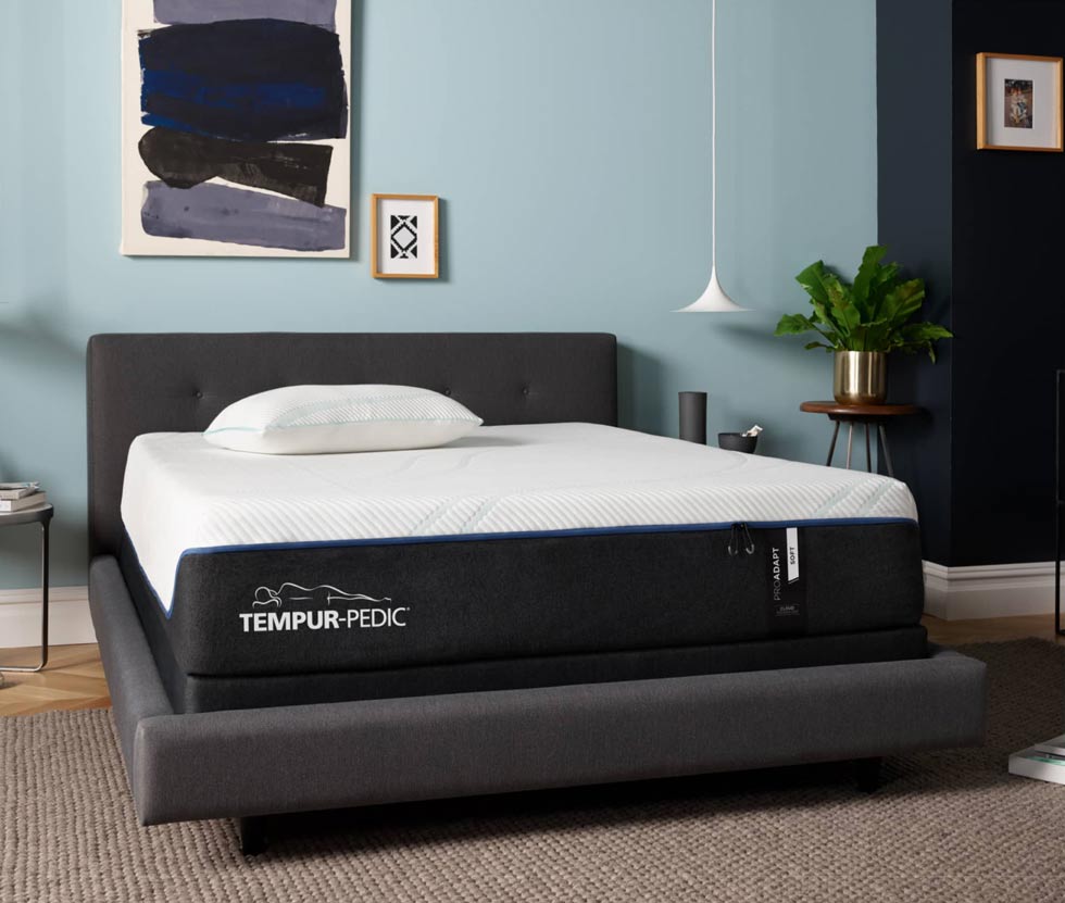 Tempur-Pedic bed and bedframe in a room with a plant